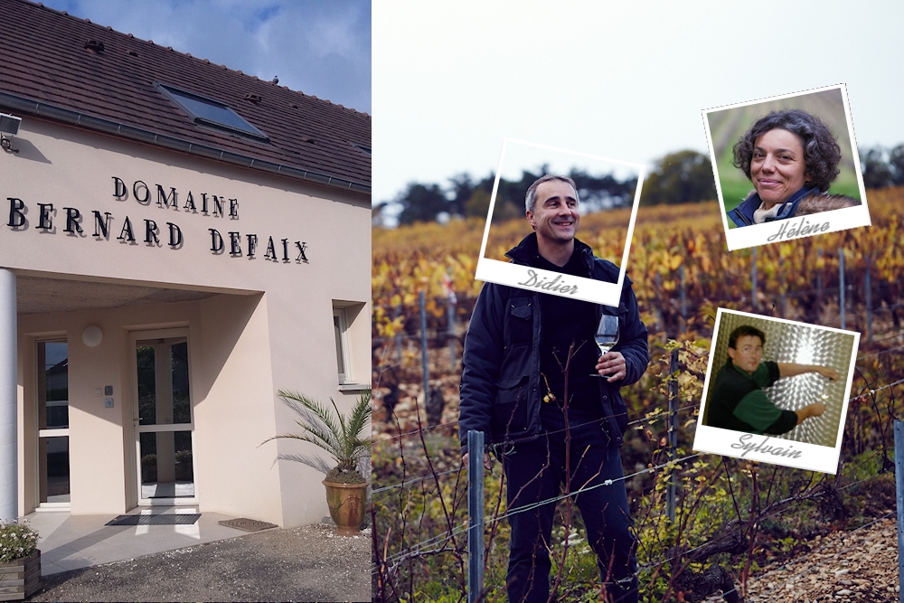 Domaine Bernard Defaix, Chablis wines